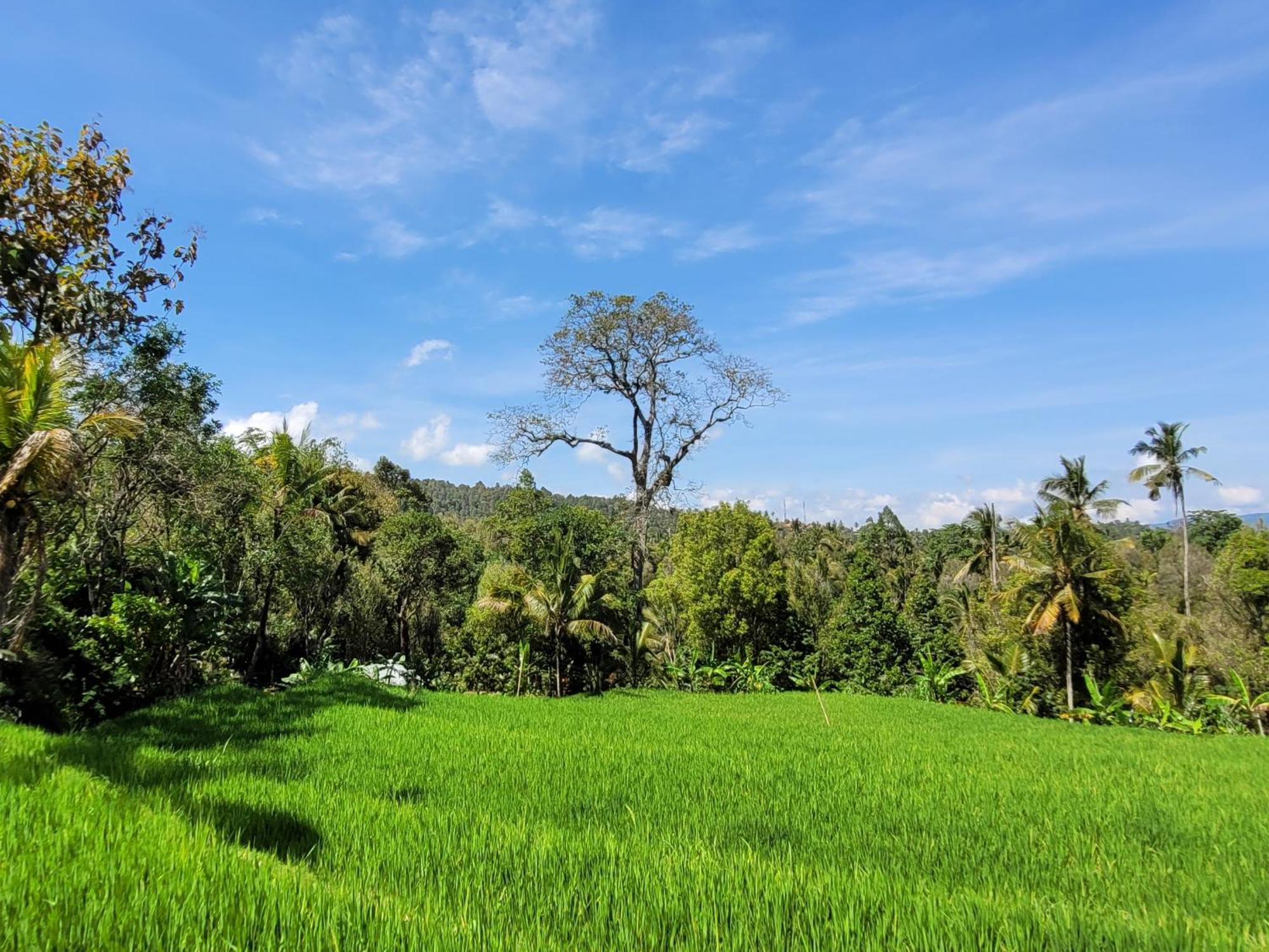 Umah Yugadi Bali Apartment มุนดุก ภายนอก รูปภาพ